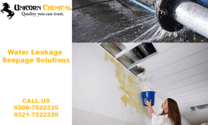 water leakage and seepage solution
