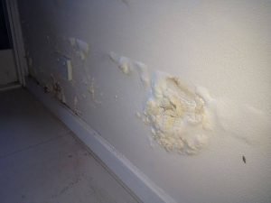 Seepage