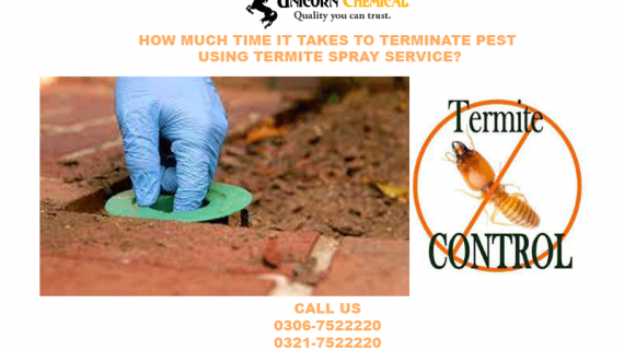 HOW much TIME IT TAKES TO TERMINATE PEST the usage of TERMITE SPRAY service?